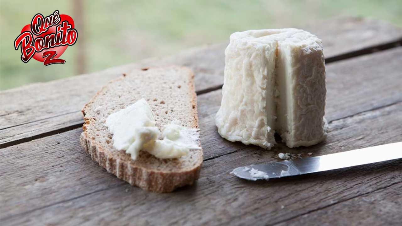 Queso Pule: El exclusivo manjar hecho con leche de burra que cuesta $1,000 dólares el medio kilo