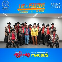 Meet & Greet LAS MAS PERRONAS CDMX (1)