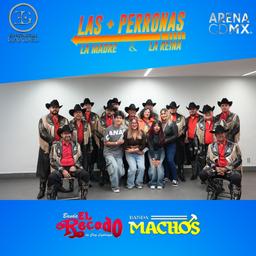 Meet & Greet LAS MAS PERRONAS CDMX (13)
