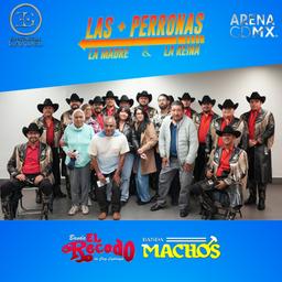 Meet & Greet LAS MAS PERRONAS CDMX (15)