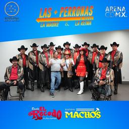 Meet & Greet LAS MAS PERRONAS CDMX (18)