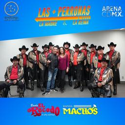 Meet & Greet LAS MAS PERRONAS CDMX (19)