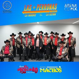 Meet & Greet LAS MAS PERRONAS CDMX (28)
