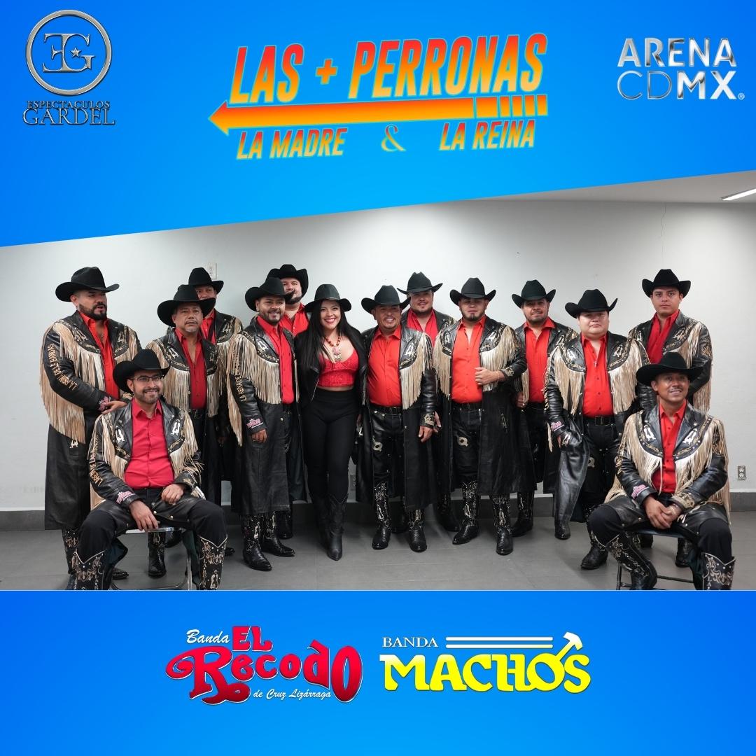 Meet & Greet LAS MAS PERRONAS CDMX (4)