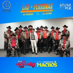 Meet & Greet LAS MAS PERRONAS CDMX (6)