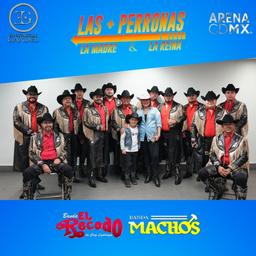 Meet & Greet LAS MAS PERRONAS CDMX (8)
